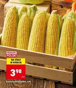 Biedronka Kukurydza kolba szt oferta