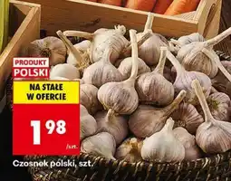 Biedronka Czosnek polski , szt oferta