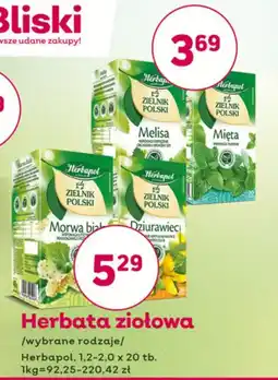 Bliski Herbata ziołowa oferta