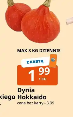 E.Leclerc Dynia hokkaido oferta