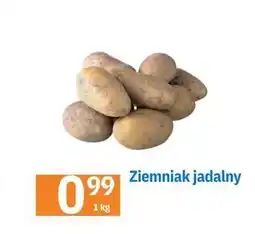 E.Leclerc Ziemniaki jadalne oferta