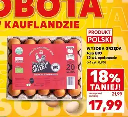 Kaufland Jajka Wysoka Grzęda BIO 20 szt oferta