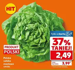 Kaufland Sałata masłowa Polska szt. Kaufland oferta