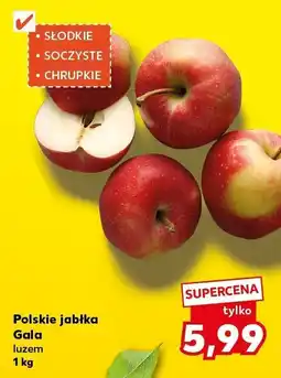 Kaufland Jabłka Gala Polskie luzem 1 kg Kaufland oferta