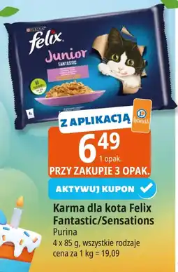 E.Leclerc Karma dla kota Felix oferta