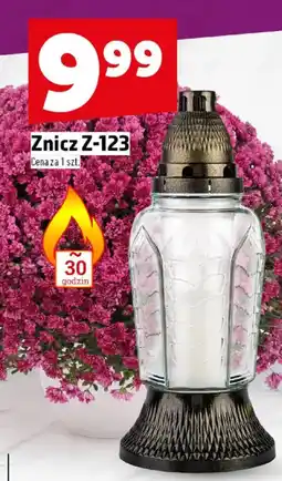 Topaz Znicz Z-123 oferta