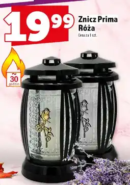 Topaz Znicz Prima Róża oferta