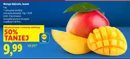 Lidl Mango dojrzałe 1 kg Lidl oferta
