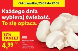 Lidl Pieczarki polskie 500 g Lidl oferta