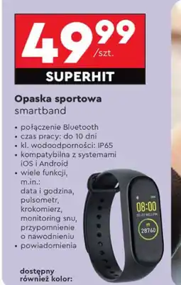 Biedronka Opaska sportowa Forever oferta