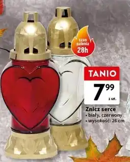 Intermarche Znicz serce oferta