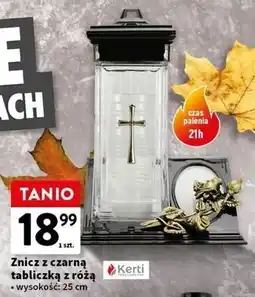 Intermarche Znicz z czarną tabliczką różą 25 cm Kerti oferta