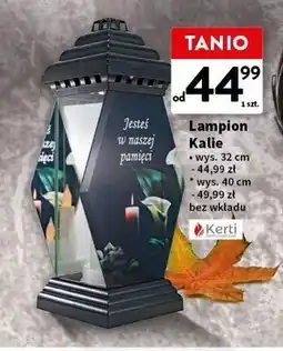 Intermarche Lampion kalie 40 cm Kerti oferta