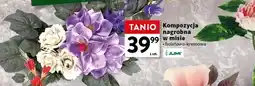 Intermarche Kompozycja w misie Jumi oferta