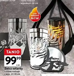 Intermarche Znicz solarny do 2 lat oferta