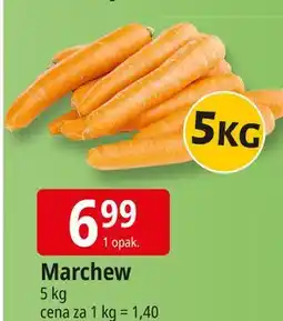 E.Leclerc Marchewka oferta