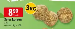 E.Leclerc Seler korzeń oferta