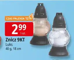 E.Leclerc Znicz szklany 9kt Luks oferta