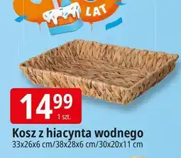 E.Leclerc Kosz z hiacyntów wodnych 30 x 20 11 cm oferta