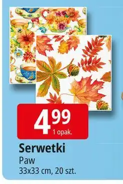 E.Leclerc Serwetki 33 x cm Paw oferta