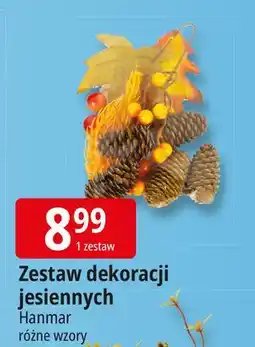 E.Leclerc Zestaw dekoracji jesiennych Hanmar oferta