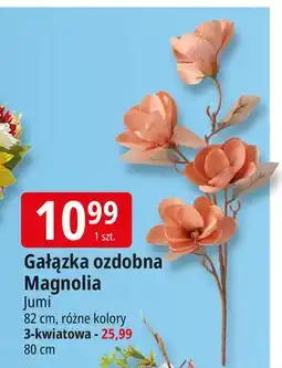 E.Leclerc Gałązka ozdobna 80 cm Jumi oferta