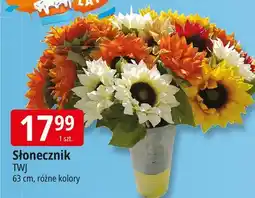 E.Leclerc Słonecznik Twj oferta