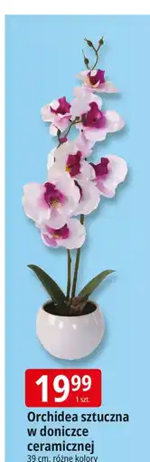 E.Leclerc Orchidea sztuczna w doniczce 39 cm oferta
