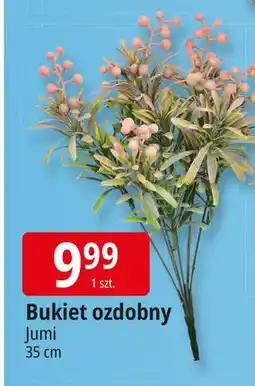 E.Leclerc Bukiet ozdobny 35 cm Jumi oferta