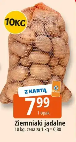 E.Leclerc Ziemniaki oferta
