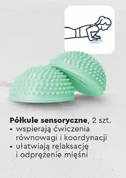 Biedronka Półkule sensoryczne Spokey oferta