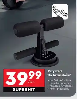 Biedronka Przyrząd do brzuszków Spokey oferta