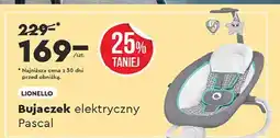 Biedronka Bujaczek pascal Lionelo oferta