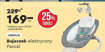 Biedronka Bujaczek pascal Lionelo oferta
