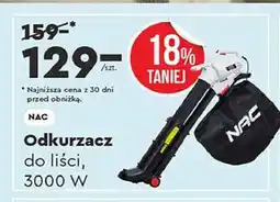 Biedronka Odkurzacz do liści 3000w Nac oferta