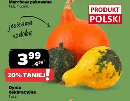 Netto Dynia dekoracyjna 1 szt. Netto oferta