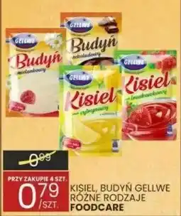 Wafelek Kisiel, budyń gellwe różne rodzaje FOODCARE oferta