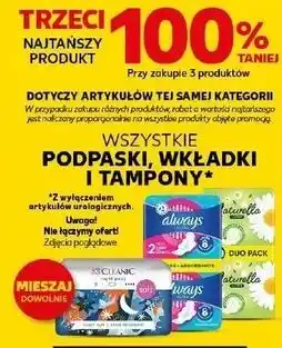 Kaufland Podpaski night Cleanic oferta
