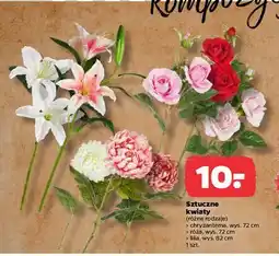 Netto Lilia 82 cm oferta