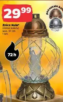 Netto Znicz kula 72h oferta