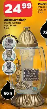 Netto Znicz lampion 66h 34 cm oferta