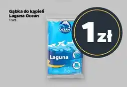 Netto Gąbka do masażu Laguna oferta