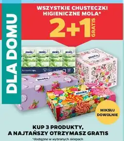 Netto Chusteczki higieniczne Mola oferta