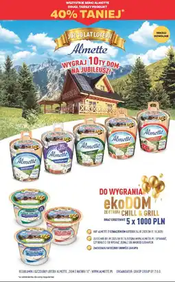 Netto Serek wiejski z twarożkiem kremowym Hochland Almette oferta