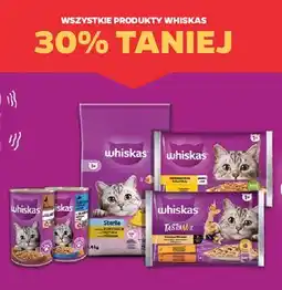 Netto Karma dla kota z tuńczykiem w galaretce Whiskas oferta