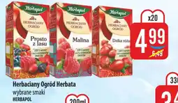 MOKPOL Herbaciany ogród herbata herbapol oferta