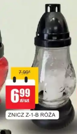 Bingo Znicz z-1-b róża oferta