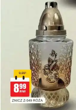 Bingo Znicz z-549 róża oferta