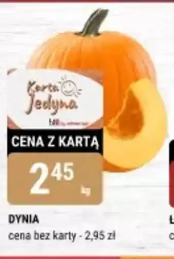 bi1 Dynia oferta