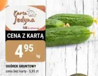 bi1 Ogórek gruntowy oferta